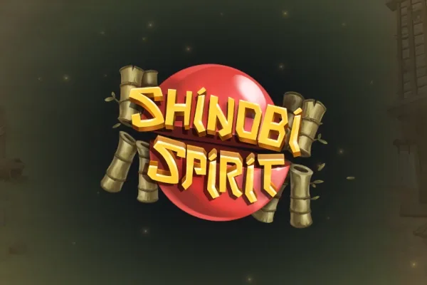 Shinobi Spirit